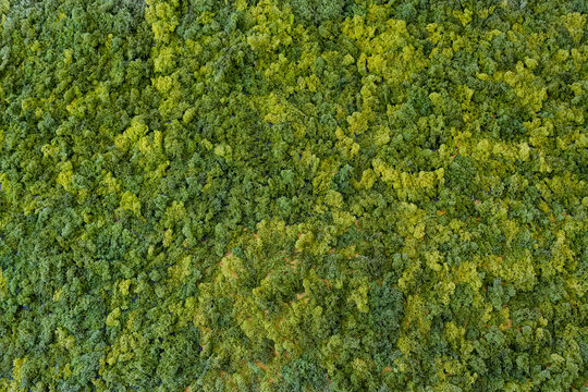 Moss close-up on a wall © Mathias Weil