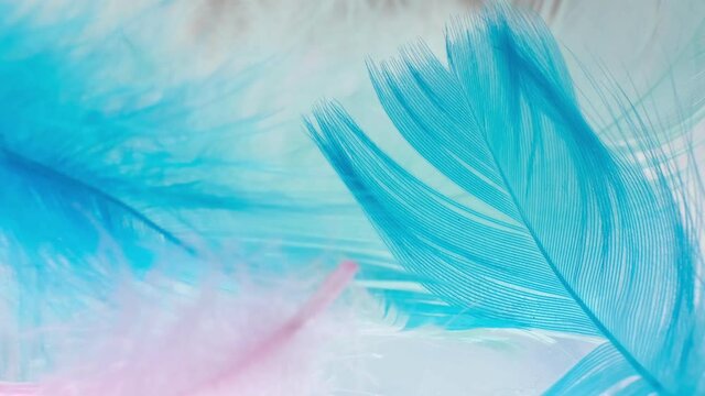 Light fluffy a white feathers abstract background. Macro, Close up. selective focus, blurred focus. slow motion video stock footage.