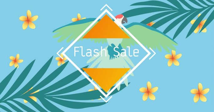 Animation of flash sale text in white in white frame over exotic bird and plants on blue
