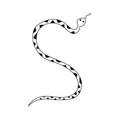 Fototapeta premium Dangerous snake with geometrical pattern on its skin. Doodle hand drawn vector illustration.