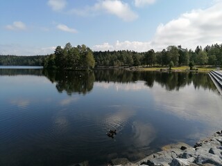 reflection of trees in the lake