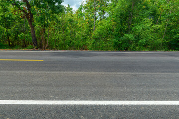 Fototapeta na wymiar Side view of asphalt road with forest