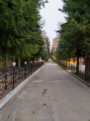 View of the autumnal street of the Omsk city.