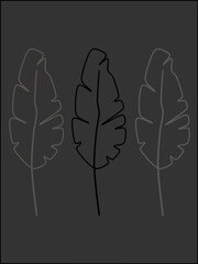 Black background banana leaf three-leaf picture