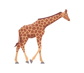 Flat giraffe. Vector illustration