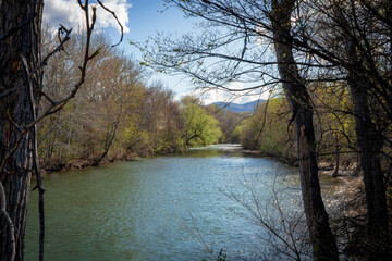 Spring comes gradually along the Boise River, in Boise Idaho on a beautiful sunny day.