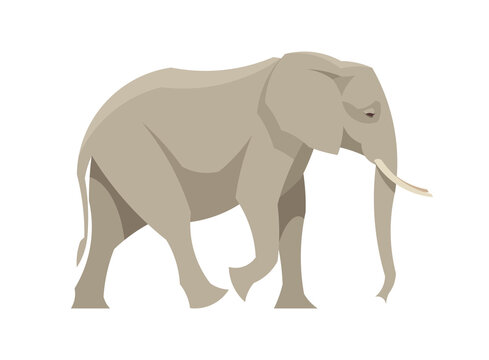 Flat african elephant. Vector illustration