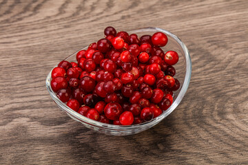 Sweet and tasty cranberry in the bowl