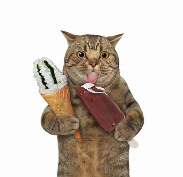 A Beige Cat Holds Two Ice Creams. White Background. Isolated.