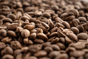 Coffee beans macro