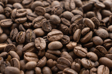Coffee beans close up