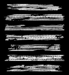 Tire tracks or tyre prints vector design of car wheel traces on mud road. Race sport car, truck or motorcycle rubber tread marks grunge pattern, motocross vehicle white trails on black background © Vector Tradition