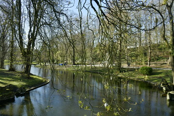 Fototapeta na wymiar L'étang principal du parc Josaphat à Schaerbeek sous l'ombre de la végétation dense au début du printemps 