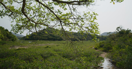 Yim Tin Tsai in Sai Kung