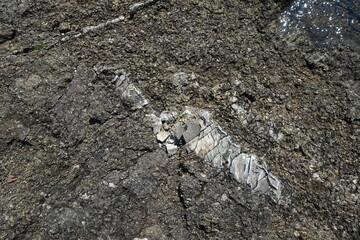 Quartz vein. Rock-forming minerals in the composition of rock. The texture of natural stone.