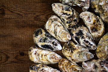 Shells of fresh wild oysters on a wooden background. Food Background. Top view.