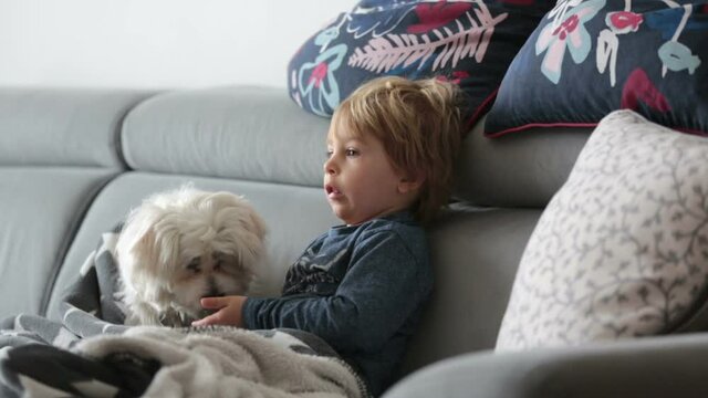 Toddler child, hugging little maltese dog at home, sitting on the couch