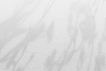 Flower shadows on light white gray color wall.