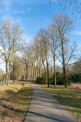 Fototapeta na wymiar Tall trees lining bicycle lane in Loenen in The Netherlands