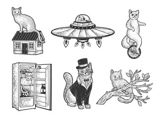 Cat set sketch engraving vector illustration. T-shirt apparel print design. Scratch board imitation. Black and white hand drawn image. © Oleksandr Pokusai