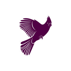 Northern Cardinal bird design vector illustration, Creative Northern Cardinal bird logo design concept template, symbols icons