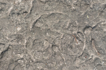 surface texture of a large landscaping boulder