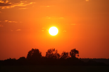 Fototapeta premium Landscape sun at sunset in the clear sky on the horizon silhouette of trees in honor of the day of the sun on May 3