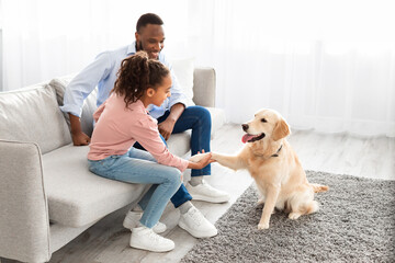 Smiling black girl playing with dog in the living room