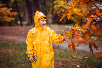 Child in the yellow raincoat walks in the forest and has fun