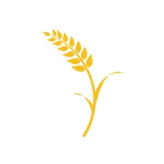 Agriculture wheat Logo vector icon design