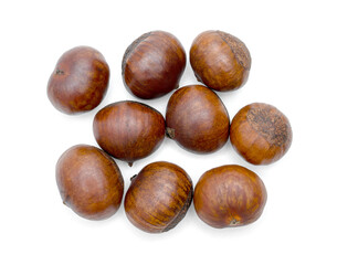 roasted chestnut isolated on white background