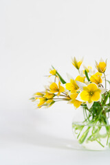 white-yellow flowers in glass vase on light table on white background. Mock up banner with bouquet flower with copy space. springtime concept