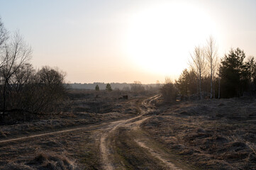 Obraz premium Rural dirt road in a field in early spring in the rays of the rising sun against the background of bare trees. Spring landscape