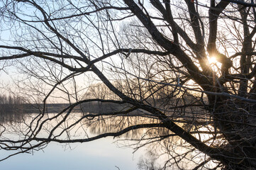 Beautiful spring landscape with a bare tree leaning over the water in the rays of the rising sun against the blue sky. The concept of calm and serenity.