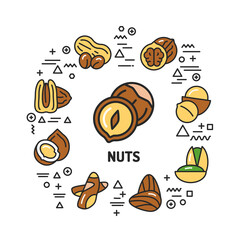 Nuts web banner. Infographics with linear icons on white background. Creative idea concept. Isolated outline color illustration