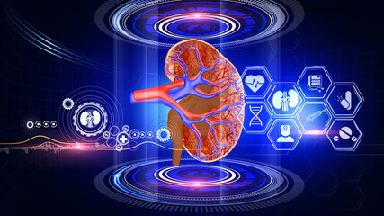Kidney Analysis Virtual Reality