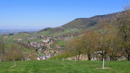 Fototapeta na wymiar Blick auf das Weindorf Sasbachwalden in der Ortenau