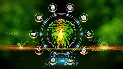 
Flower Icon Concept Green environment with Center and spoke Concept ,Plant on center and rotating Icons