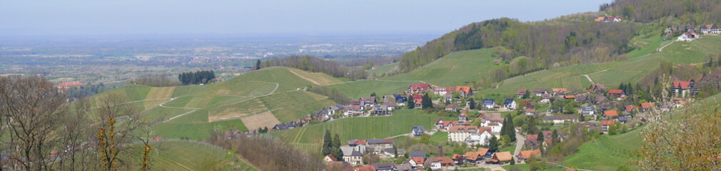 Fototapeta na wymiar Panoramablick auf das Weindorf Sasbachwalden in der Ortenau mit Rheinebene
