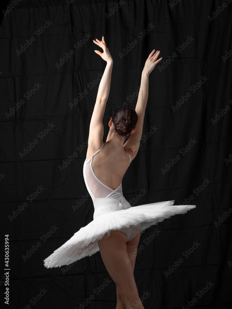 Wall mural Young beautiful skinny ballerina is posing in studio - Wall murals