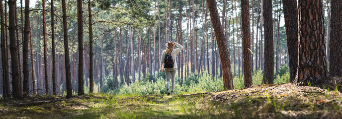 Woman hiking at footpath in forest. Panoramic view of pine woodland with female tourist person with backpack and hat