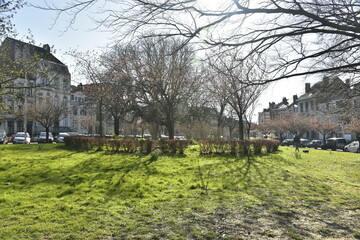 Les arbres du square Riga sous un ciel de printemps ,à Schaerbeek
