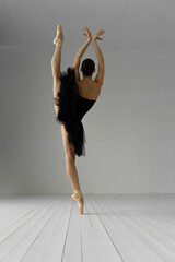 Young beautiful skinny ballerina is posing in studio