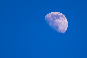 Moon in the daytime blue sky background