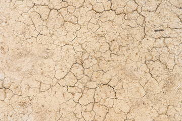 Brown dry soil or desert cracked ground texture background,land arid earth warming.