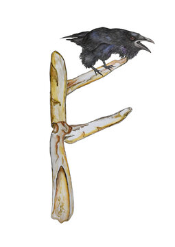Illustration with rune Fehu and raven.