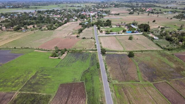 Rice field in the countryside are industrial and made money of the local in Thailand.
