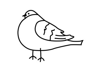 Bird hand-drawn in doodle style