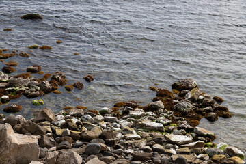Close up of rocks in the sea with green moss and tranquil water
