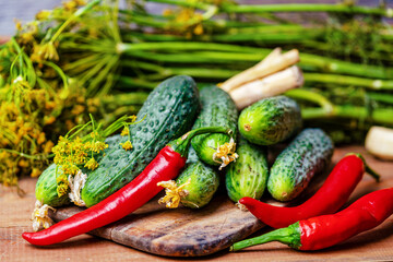 horseradish, dill, pepper, cucumbers for cucumber on a wooden table